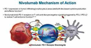 206期全球肿瘤快讯-47.jpg