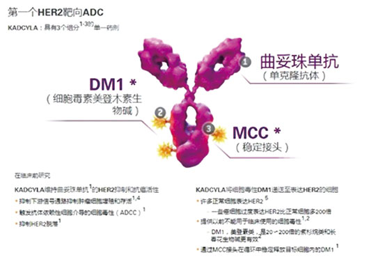 219期(印刷版)-25.jpg