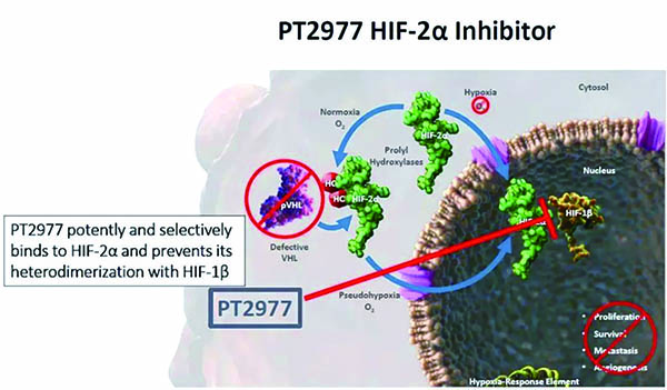339-340期（完成）-69.jpg