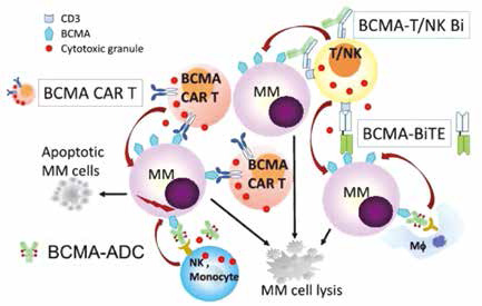 343-344期《全球肿瘤快讯》-98.jpg 343-344期《全球肿瘤快讯》-98.jpg