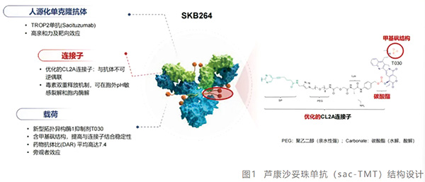 385-386期(完成)-105.jpg